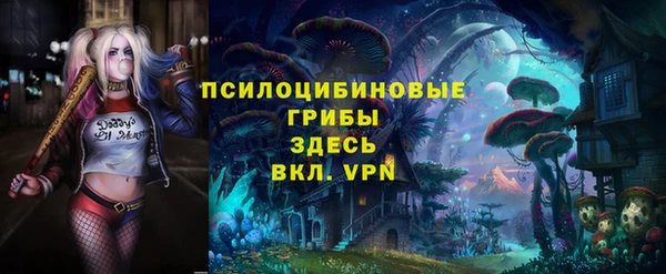 ПСИЛОЦИБИНОВЫЕ ГРИБЫ Костерёво