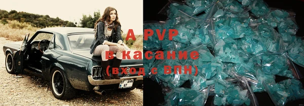 ПСИЛОЦИБИНОВЫЕ ГРИБЫ Костерёво