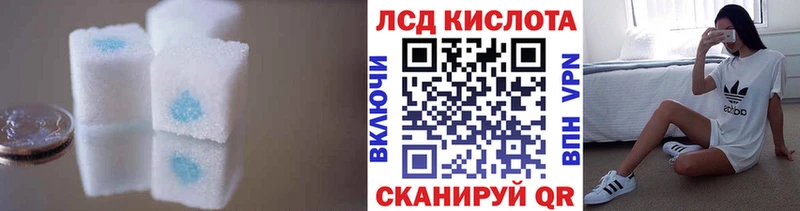 kraken tor  наркота  Новосокольники  Лсд 25 экстази кислота 